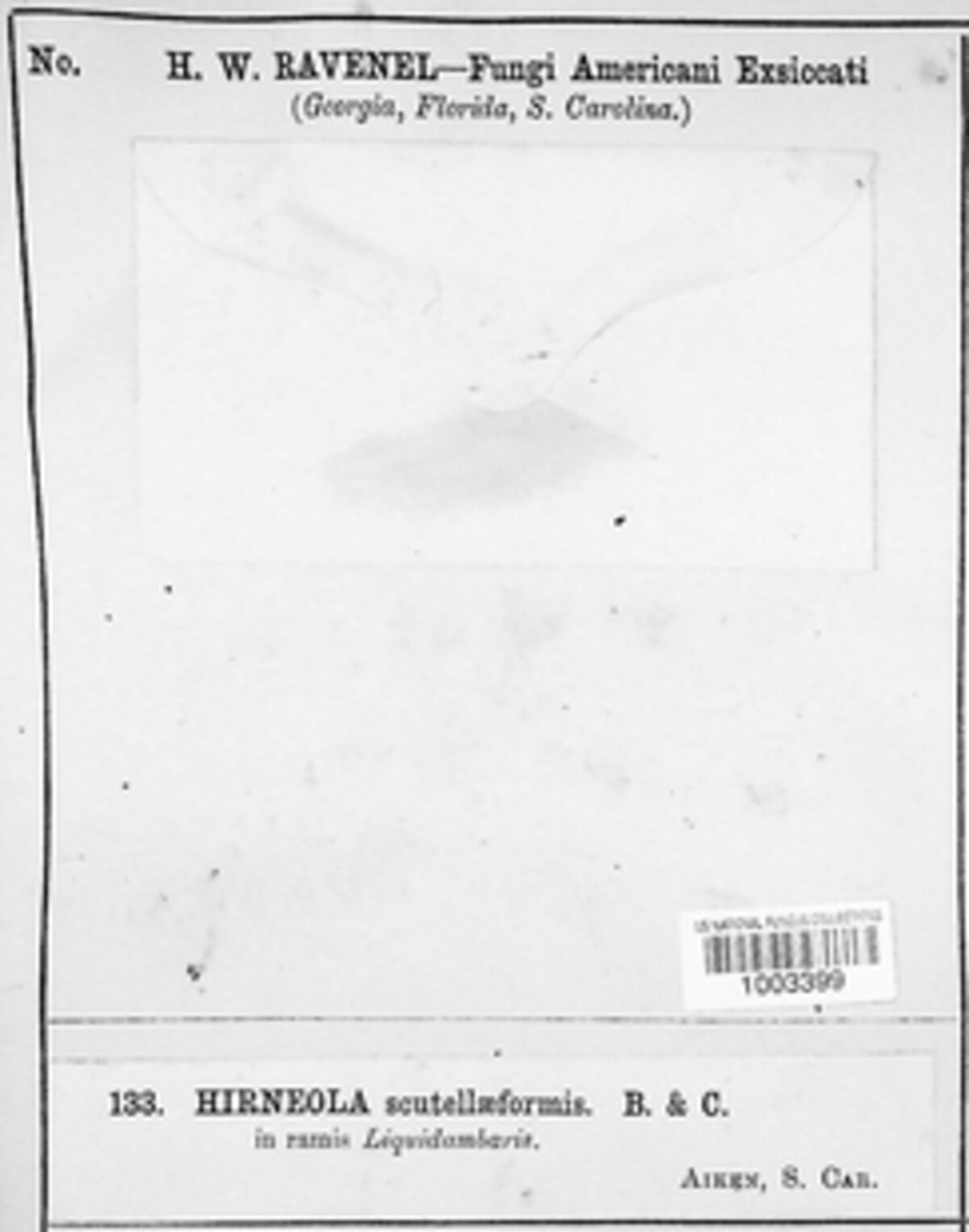 Exidiopsis scutelliformis image